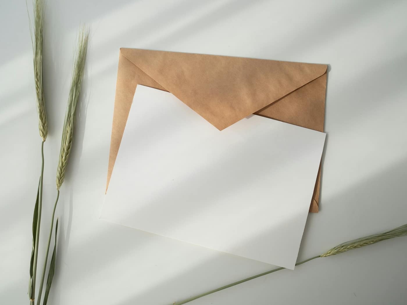 A kraft envelope with a blank sheet of paper